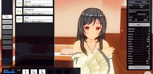 Custom Maid 3D 2 - Virgin Maid Has Sex